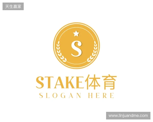关于Stake官网